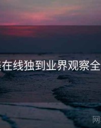 欧美在线独到业界观察全追踪