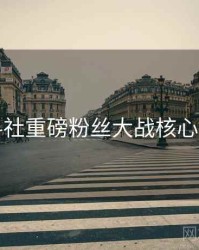 黑料社重磅粉丝大战核心看点