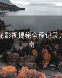 国产探花影视揭秘全程记录，必看指南
