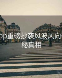 黑料网app重磅抄袭风波风向研判，揭秘真相