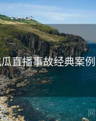 每日吃瓜直播事故经典案例深解析