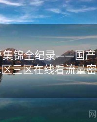 重磅影评集锦全纪录——国产欧美一区二区三区在线看流量密码