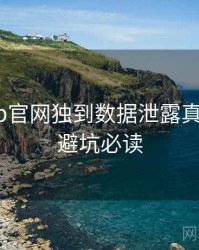 麻豆app官网独到数据泄露真相还原，避坑必读